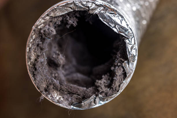Best Air Duct Cleaning Cost  in Lincoln Park, MI