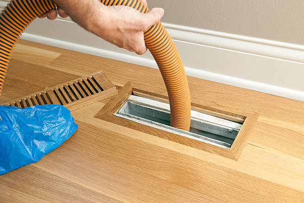 Best Dryer Vent Cleaning Services  in Lincoln Park, MI