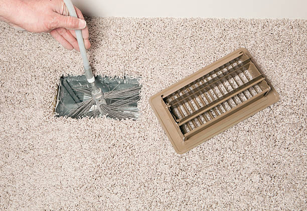 Best Air Duct Mold Removal  in Lincoln Park, MI