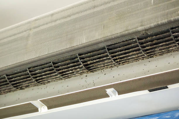 Best HVAC Air Duct Cleaning  in Lincoln Park, MI