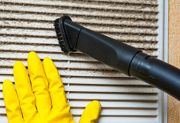 Best Ductwork Cleaning Services  in Lincoln Park, MI